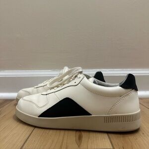 Everlane Court Sneaker